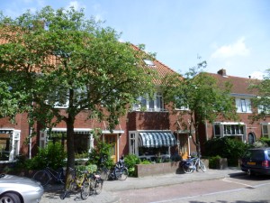 Referentie Coornhertstraat Ljouwert