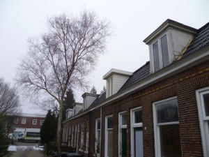 Referentie Bisschopstraat Ljouwert
