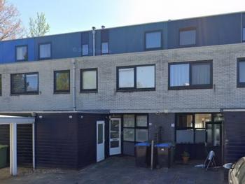 Referentie Steiger Groningen