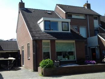 Referentie Waterranonkel Dokkum